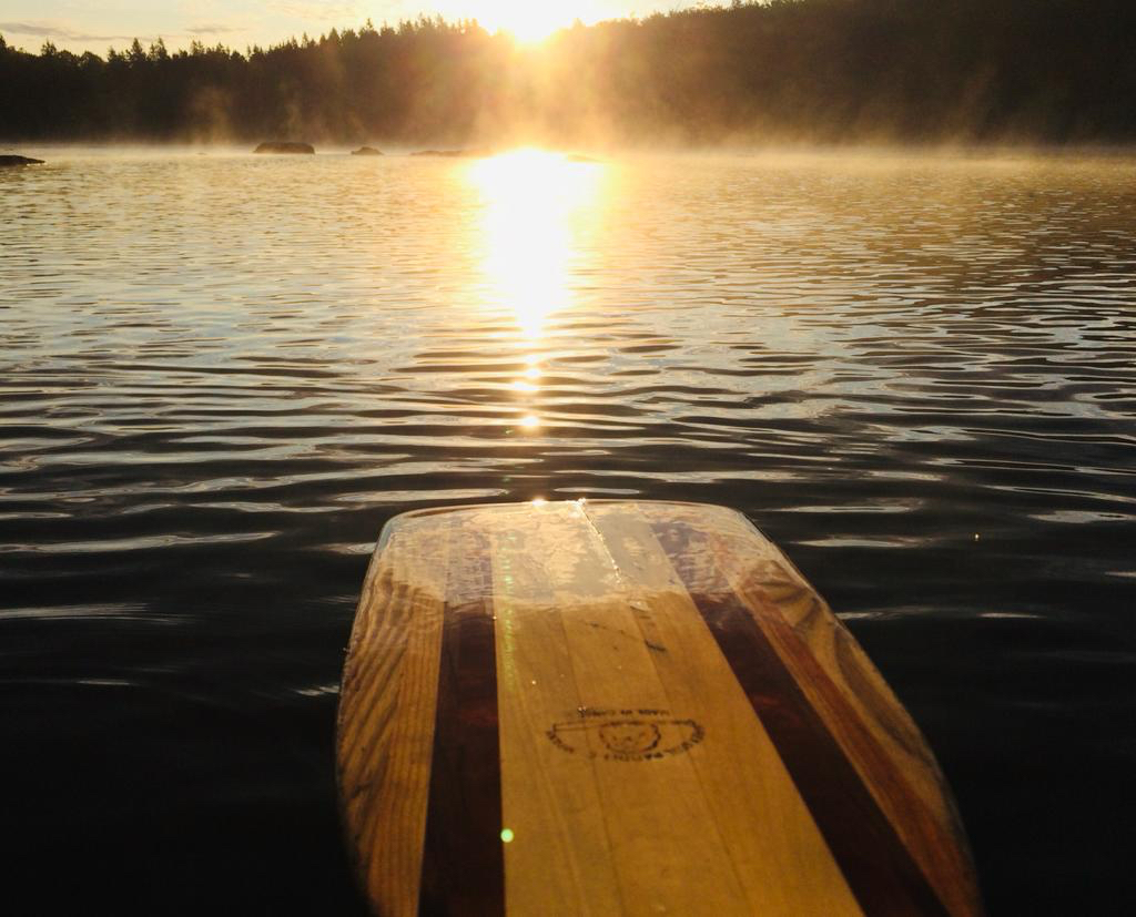 Canoe paddle in the sunlight